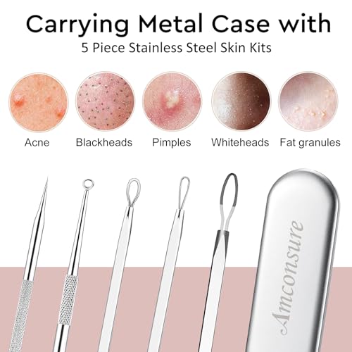 Amconsure Nano Ionic Facial Steamer for Home Spa
