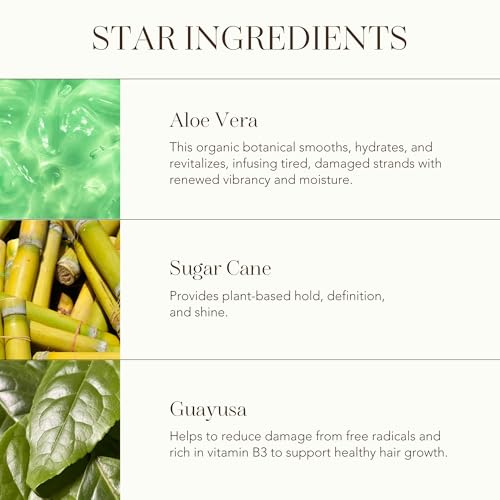 Rahua Aloe Vera Hair Mousse - Volumizing Foam for All Hair Types