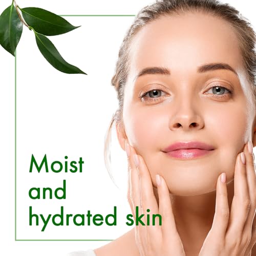 Oshima Tsubaki Camellia seed Oil - English Packaging for US - 100% Pure and Natural, Plant-Based, Single-Ingredient, Moisturizing for Hair, Face, Skin, and Nails, Japanese Beauty - 2.03 fl oz (60ml)