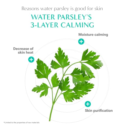 RATAPLAN Water Parsley Calming Serum & Cream Duo Set