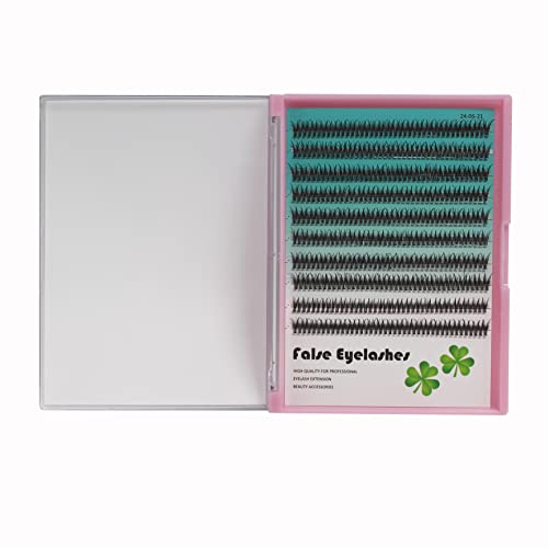 12D Fishtail Cluster Lashes 8-14mm Black Individual Extensions