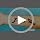 96 PCS Shark Temporary Tattoos - Realistic Ocean Animal Stickers