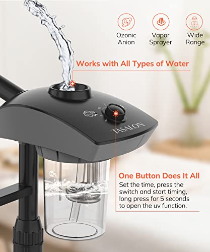 Professional Ionic Facial Steamer with 3X Magnifying Lamp