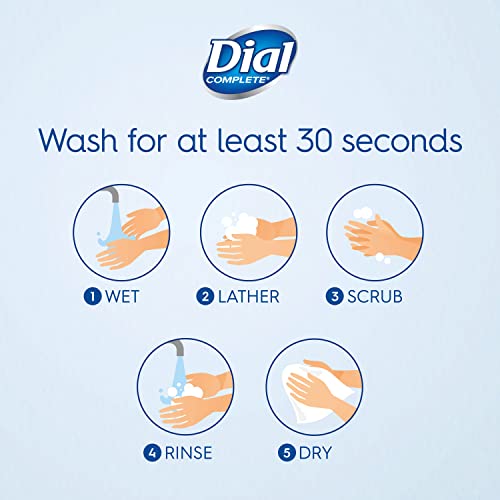Dial Antibacterial Liquid Hand Soap Refill, Gold, 52 Fluid Ounces (Pack of 6)