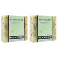 Plantlife Peppermint Bar Soap Pack of 2 - Moisturizing and Soothing Soap for Your Skin - Hand Crafted Using Plant-Based Ingredients - Made in California 4oz Bar