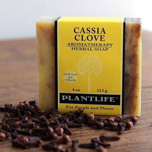 Plantlife Cassia Clove Bar Soap - Moisturizing and Soothing Soap for Your Skin - Hand Crafted Using Plant-Based Ingredients - Made in California 4oz Bar