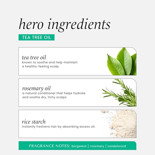 HASK Tea Tree Invigorating Dry Shampoo for Oily, Itchy Scalps ? Absorbs Oil, Rebalances Scalp, Hypoallergenic, No Sulfates or Parabens, Cruelty-Free ? 8.1oz