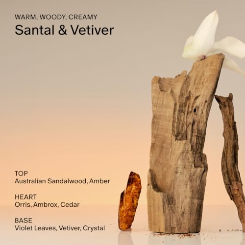 Salt & Stone Santal & Vetiver Body Wash 15.2 fl oz – Unisex Hydrating Gel Cleanser