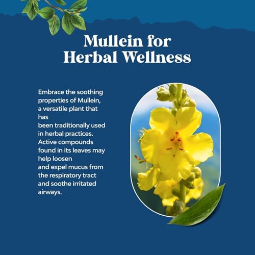 Organic Mullein Drops for Lung Detox & Breathing Support - 4 Fl Oz