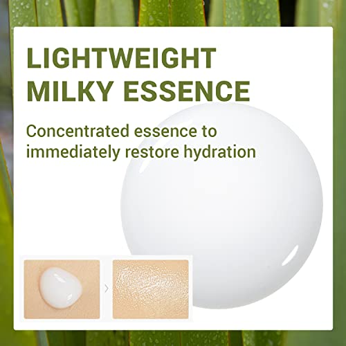 [the SAEM] Urban ECO Harakeke Essence 55ml