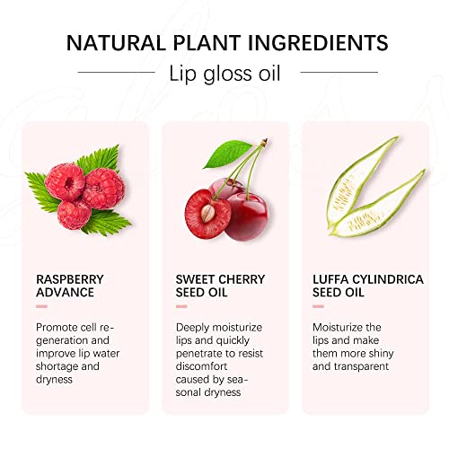 Sokgo Hydrating Lip Glow Oil – Plumping Lip Gloss