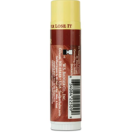 Badger - Classic Lip Balm, Vanilla Madagascar, Made with Organic Olive Oil, Beeswax & Rosemary, Natural Lip Balm, Certified Organic, Moisturizing Lip Balm, 0.15 oz