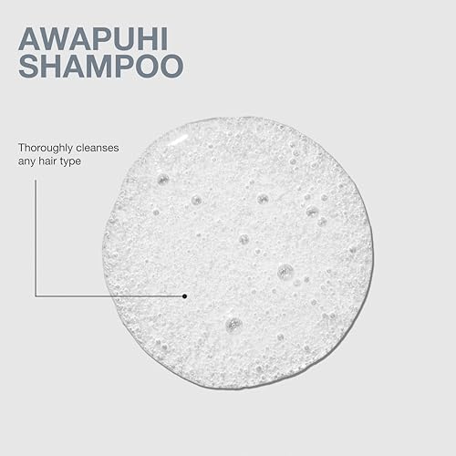 Paul Mitchell Awapuhi Shampoo for All Hair Types