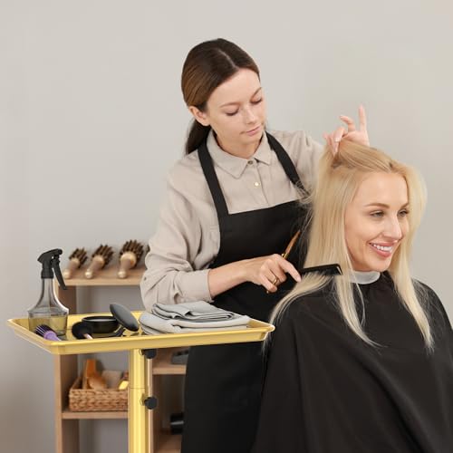 Rolling Salon Tray with Wheels & Adjustable Height