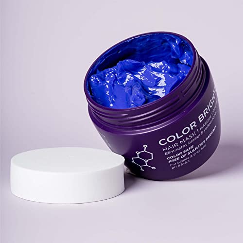 Luseta Purple Hair Mask for Blonde & Gray Hair 16.9oz