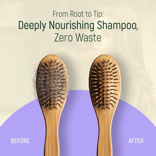 Solid Shampoo Bar And Conditioner Effect Hair Soap ? 12 Pack Natural Shampoo Bars For Hair With Plant Based Essential Oils And Eco Friendly Zero Waste Biodegradable Packaging (Lavender Pack Of 12)