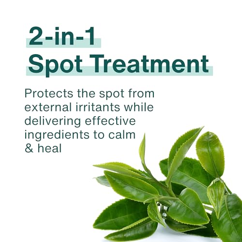 Soothe Blemish Cream | Green Tea Proactive Spot Care, Cream to Patch Formula, Hydrates and Soothes Skin, Makeup Friendly, Korean Skincare, 0.67 fl oz.