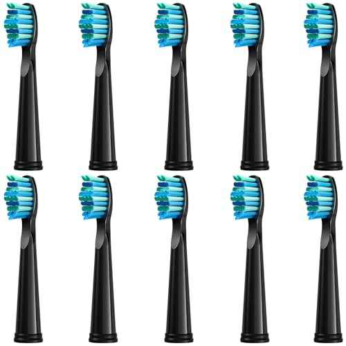 10pc Toothbrush Heads Compatible with Fairywill D7/D8/FW507/508, 551/917/959/D1/D3 (Black)