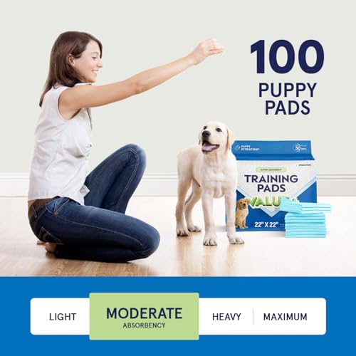 Puppy Pads Pet Pee Pads for Dogs & Puppy Training [100-COUNT] Potty Pads for Dogs 22" x 22" Leak-Proof Dog Pee Pads - Quick-Dry Surface - Heavy Duty Absorbent Disposable Dog Wee Pad Bulk Pack