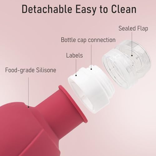 Travel Toiletry Bottles 3oz 4-Pack TSA Approved Leakproof