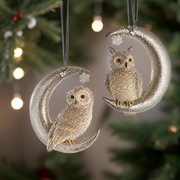 The Bridge Collection Owl Perched on Moon Ornaments- Set of 2 Birds on Crecent Moons - Animal Christmas Ornaments - Lunar Owls Ornaments