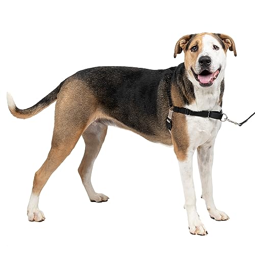 PetSafe Easy Walk No-Pull Dog Harness - The Ultimate Harness to Help Stop Pulling - Take Control & Teach Better Leash Manners - Helps Prevent Pets Pulling on Walks, X-Large, Black/Silver