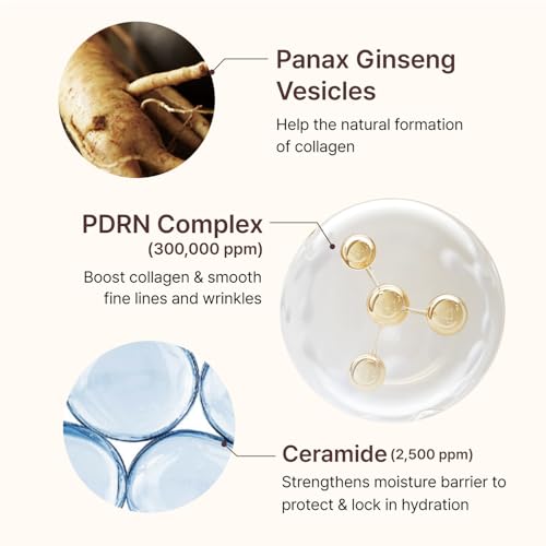 CENTELLIAN 24 PDRN Firming Boosting Ampoule (1.01 fl oz) - Improved Skin Elasticity by Dongkook Pharmaceutical. PDRN 300,000 ppm, Hydrolyzed Collagen & Elastin