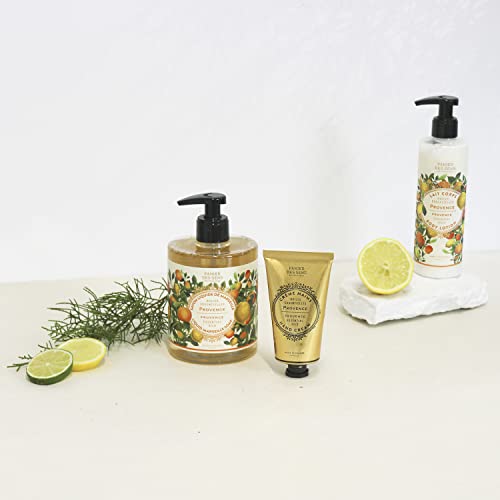 Panier des Sens ? Provence Foaming Liquid Hand Wash & Moisturizing Hand Cream ? Hand Soap and Lotion Set - with Coconut Oil, Shea Butter ? French Hand Care ? Gentle Formula ? 97% Natural Ingredients