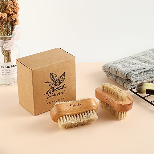 Wooden Nail Brush Set - 2 Natural Bristle Scrub Brushes for Manicure & Pedicure