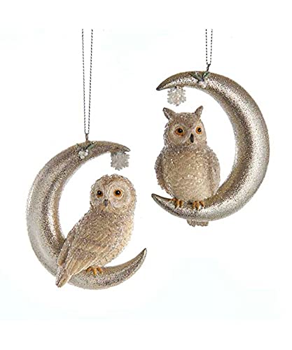 The Bridge Collection Owl Perched on Moon Ornaments- Set of 2 Birds on Crecent Moons - Animal Christmas Ornaments - Lunar Owls Ornaments