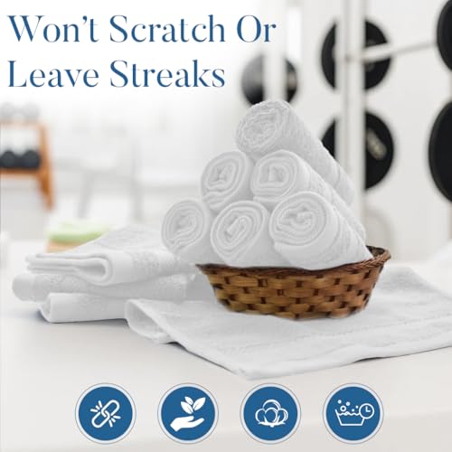 DAN RIVER 12-Pack Cotton Face Towels 12x12 - 550 GSM