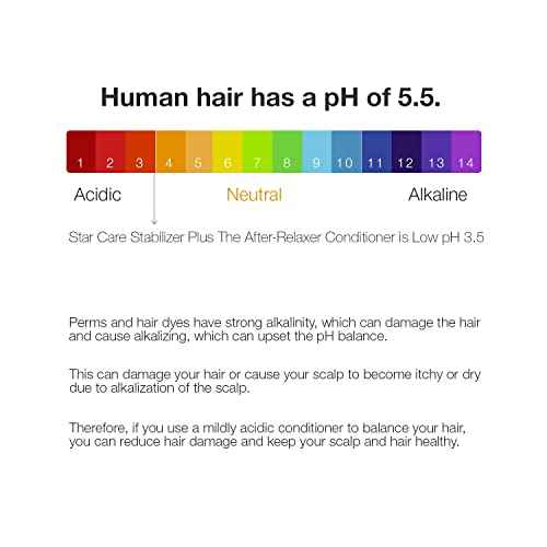 Stabilizer Plus The After-Relaxer Conditioner With Penetrating Foaming Action Approximate pH. 3.5 (16 Fl Oz (Pack of 1))