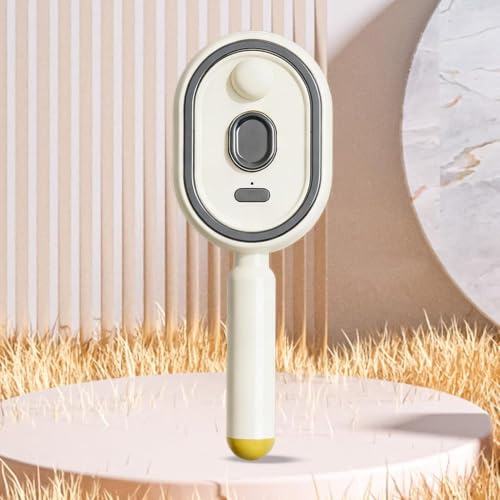 Rechargeable Steam Detangling Brush for Curly & Thick Hair