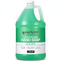 Ginger Lily Farms Aloe Vera Hand Soap Gallon (128 oz) – All-Purpose, Cruelty-Free