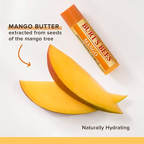 Burt's Bees Moisturizing Lip Balm, Mango 0.15 oz (Pack of 5)