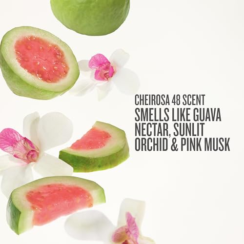 Sol de Janeiro Cheirosa 48 Body Lotion & Perfume Mist Set