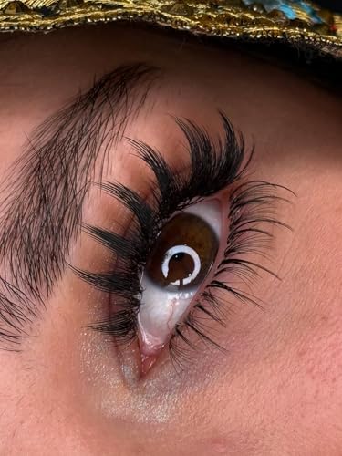 Anime Lash Clusters D Curl 9-15mm Premade Fans