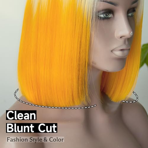 Ombre Color Bob Wig Human Hair, Wear and Go Glueless Wigs Human Hair Pre Plucked Pre Cut 210% Density 12A Brazilian Virgin Real Hair 5x5 HD Lace Front Closure Wigs for Black Women 10 Inch