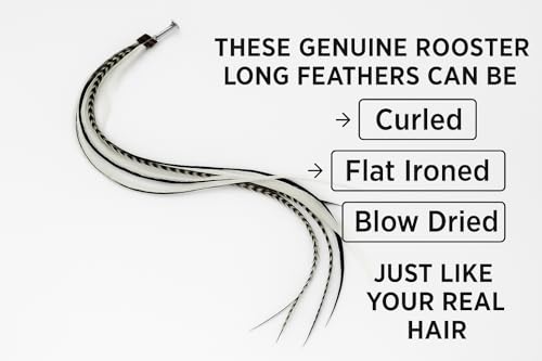 Feather Hair Extensions Real Rooster 7-11" Black Zebra