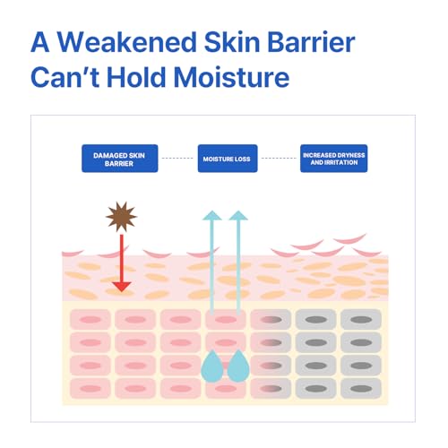 AVCA Aqua Hyaluronic Acid Daily Moisturizer 200ml(6.76 fl. oz) ? Ceramide Barrier Support Cream for Dry Skin, Lightweight Rich Texture