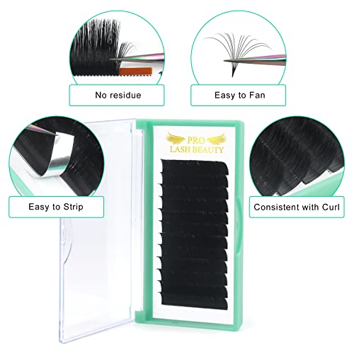 Volume Lash Extensions D-0.07-14 Easy Fan Flowering Rapid Blooming Eyelashes 9 to 20 mm Mega C D Curl (D-0.07,14 mm)