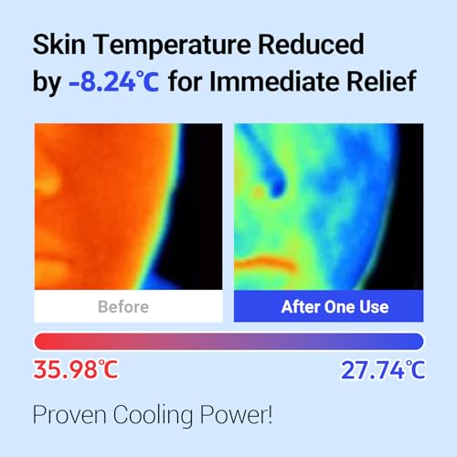 Cool Moist Mask, Overnight Face Mask for Cooling Care. Proven to reduce and calm overheated skin with redness, while supporting the skin moisture barrier. Korean Skincare (30g, 5ea).
