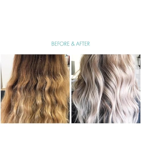 Blond Plex Violet Lightener Powder 500g - 10 Level Lift