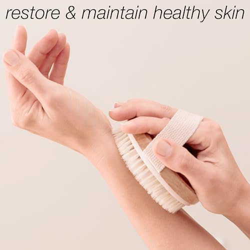 Oval Natural Bristle Dry Body Brush, Exfoliating Skin Brush for Cellulite, Lymphatic Drainage, Detox & Smooth Skin