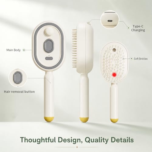 Electric Spray Air Cushion Massage Comb - 5 in 1 Rechargeable Hair Brush