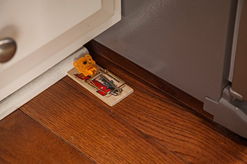 Tomcat Mouse Traps (Wooden), Inexpensive, Effective Way to Catch Mice in the Home, 2 Traps