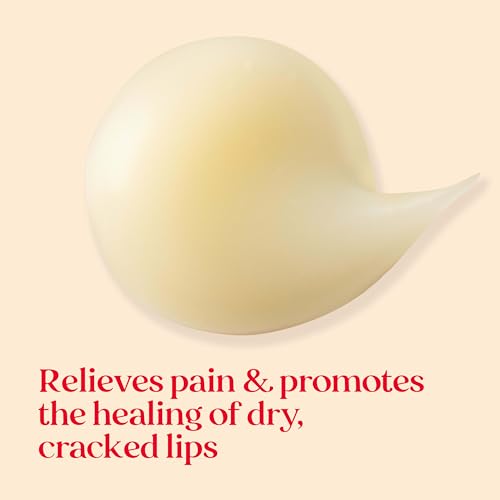 Burt's Bees Cold Sore Treatment & Medicated Lip Balm Duo