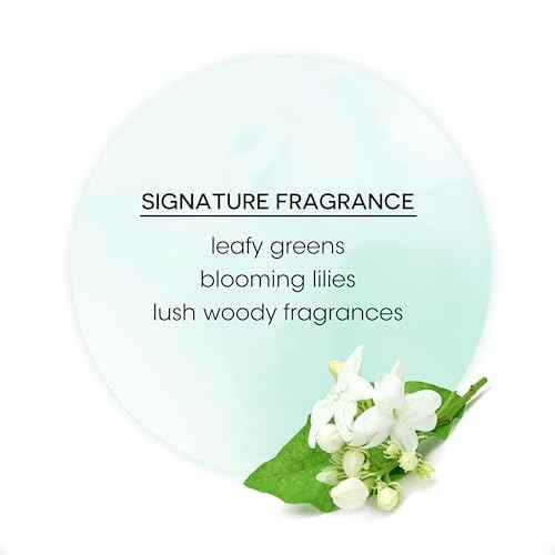 Bain de Terre Rise N' Shine Volumizing Foam, Lightweight Medium Hold & Volume with Argan & Monoi Oils, Paraben-Free, Color-Safe, Vegan, 6.7 Fl Oz