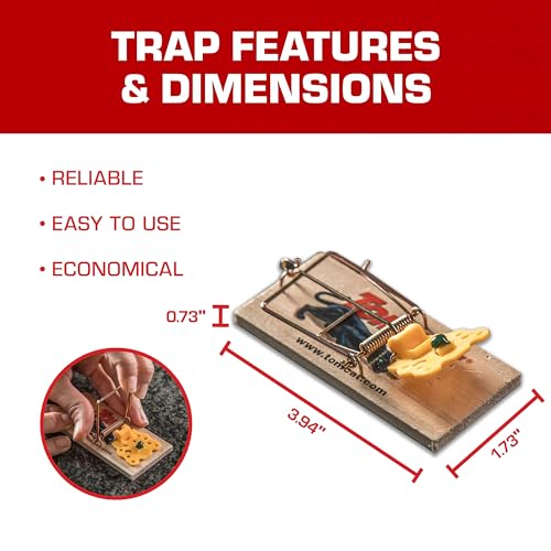 Tomcat Mouse Traps (Wooden), Inexpensive, Effective Way to Catch Mice in the Home, 2 Traps