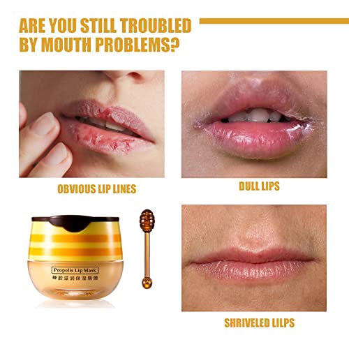 4Pcs Lip Balm Honey Pot, Propolis Moisturizing Honey Lip Mask Lip Balm, Reduces Lip Lines, Prevention Dry and Cracked Lip Scrubs Exfoliator. ¡¦